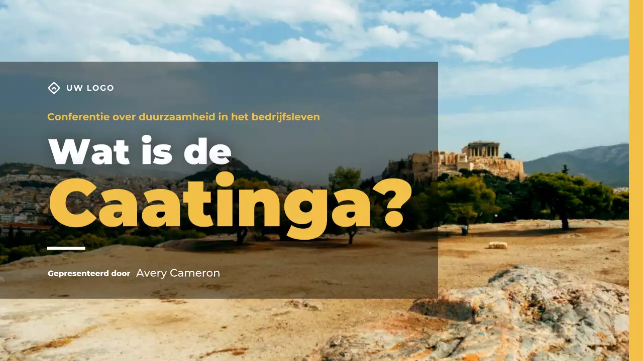 Gele moderne zakelijke conferentiepresentatie