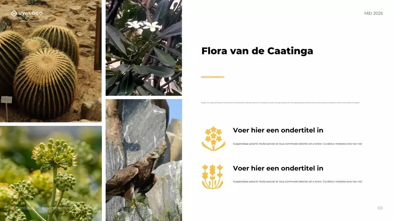 Gele moderne zakelijke conferentiepresentatie