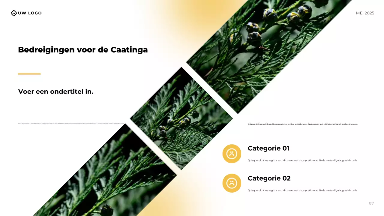 Gele moderne zakelijke conferentiepresentatie