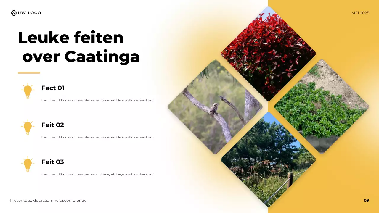 Gele moderne zakelijke conferentiepresentatie