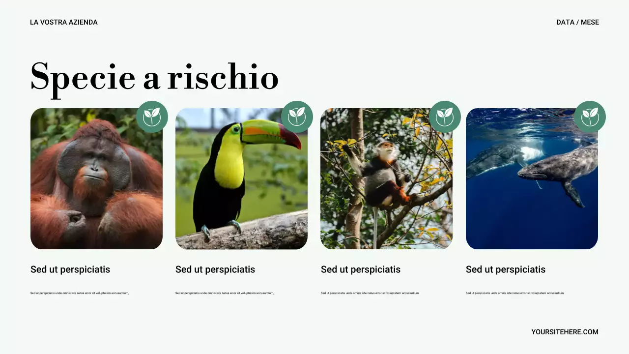 Presentazione di Green Minimal Nature