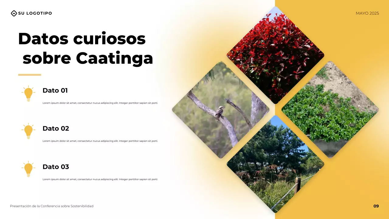 Presentación de la conferencia empresarial moderna amarilla