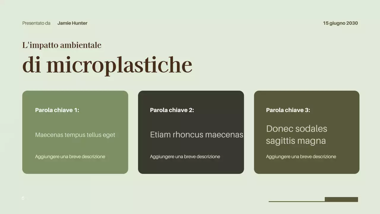 Presentazione della conferenza sull'ambiente moderno nero