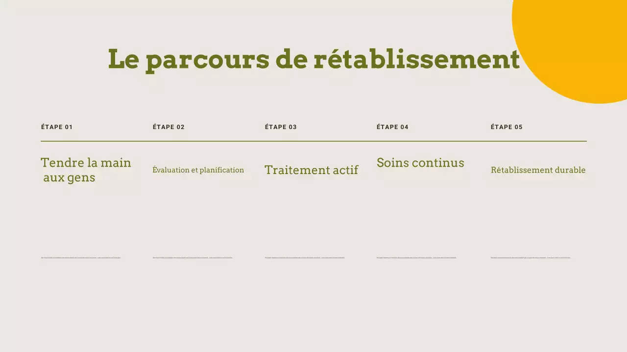 Présentations sur le traitement de la toxicomanie