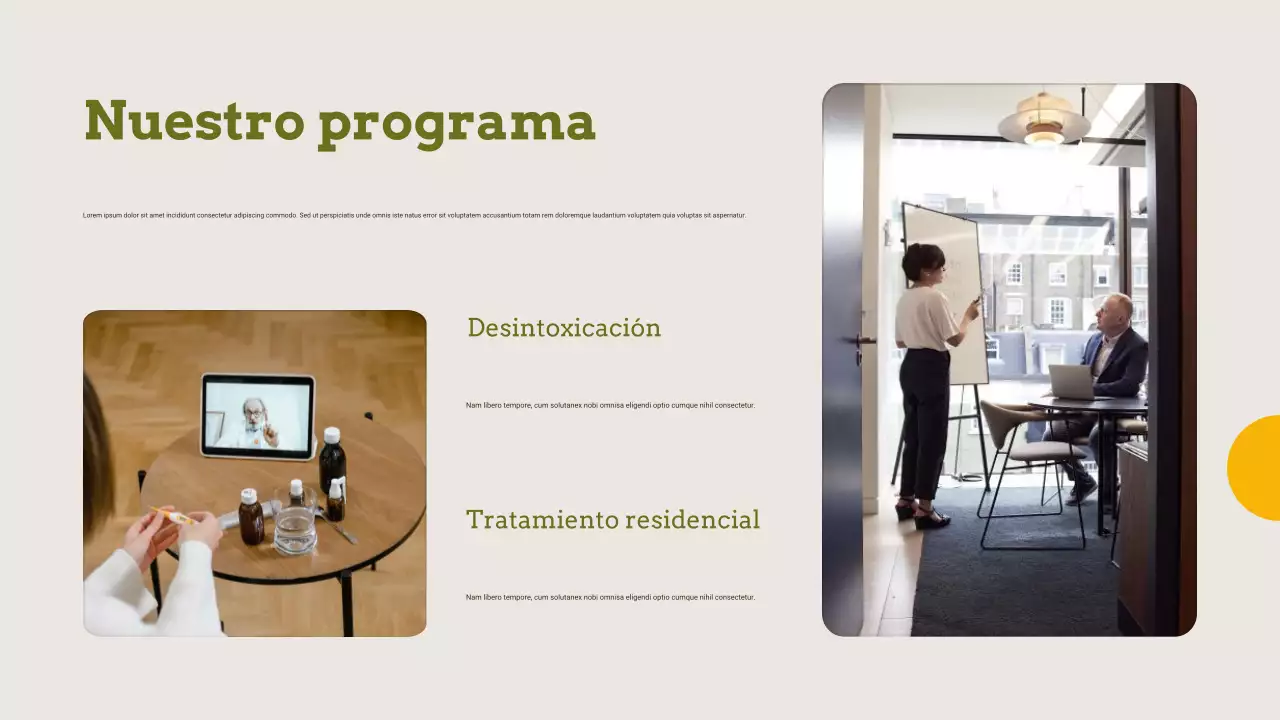 Presentaciones sobre el tratamiento del abuso de sustancias