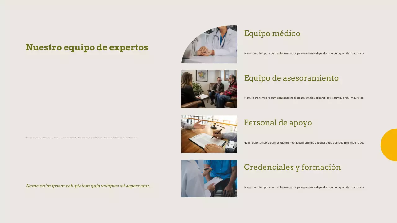 Presentaciones sobre el tratamiento del abuso de sustancias