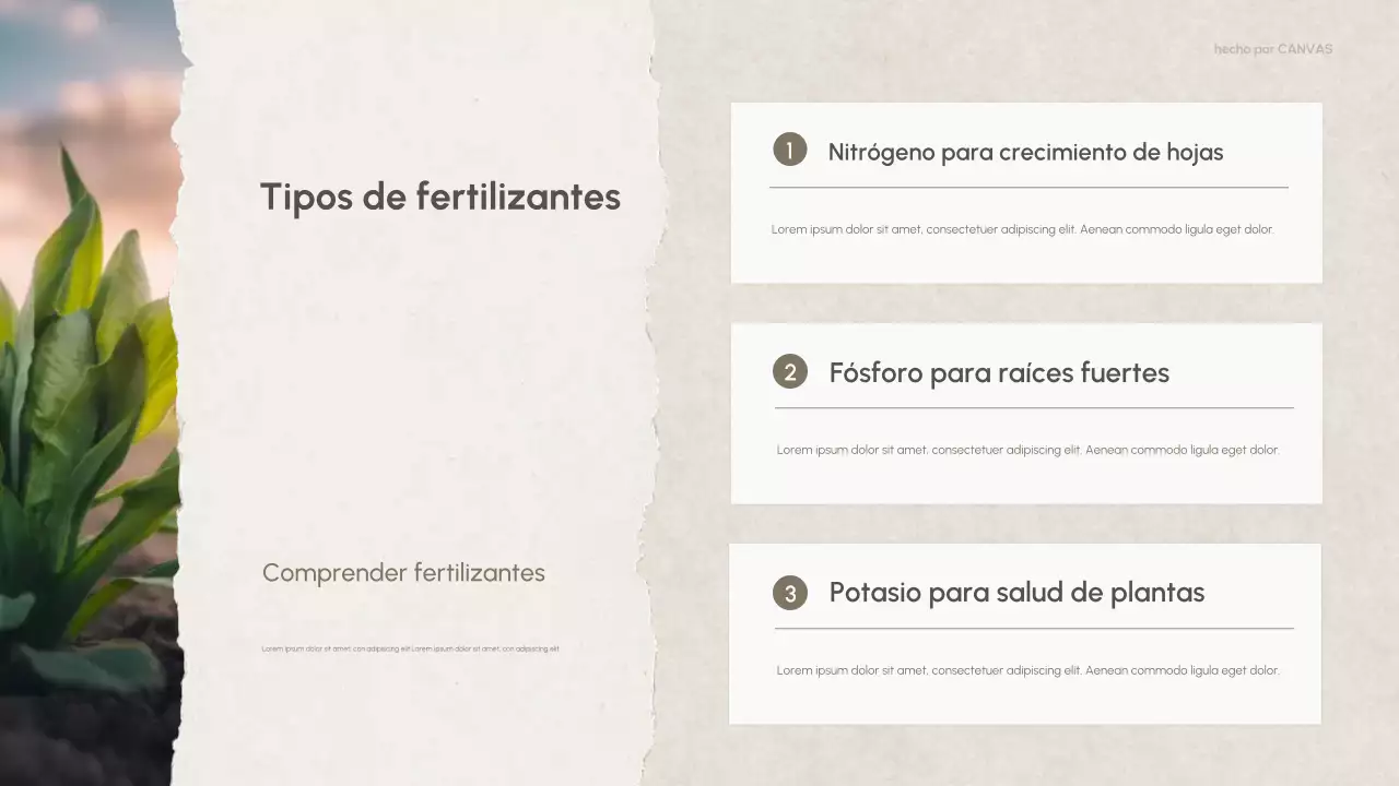 Presentación de química natural moderna y ecológica