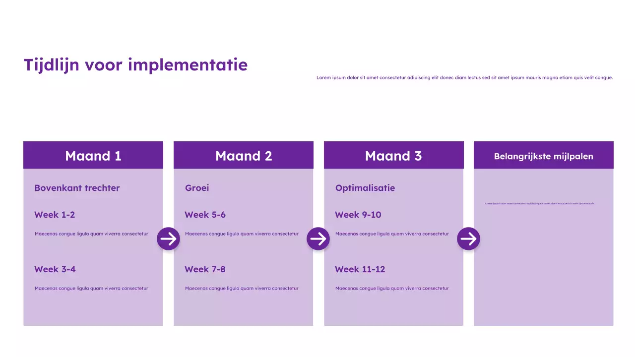 Paarse moderne marketinggids