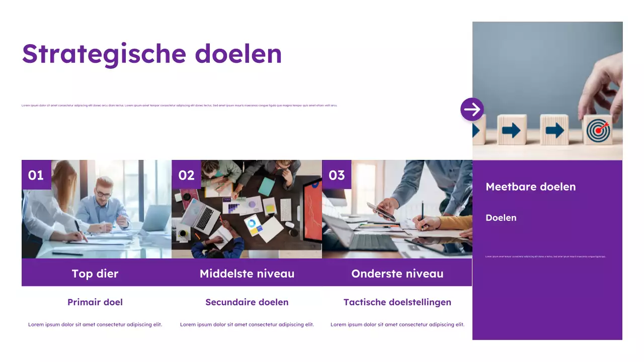 Paarse moderne marketinggids