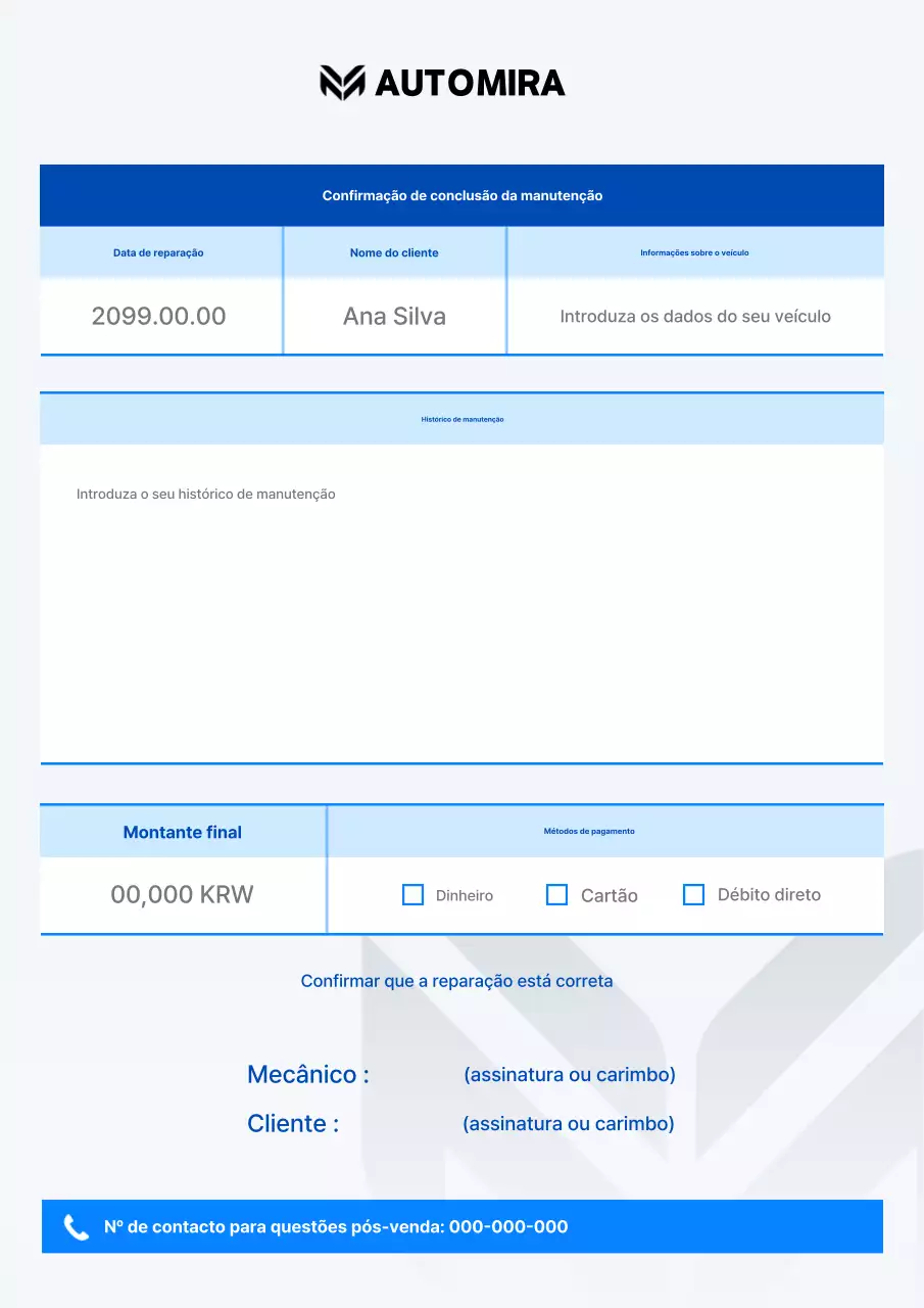 Manual de cuidados com o carro Blue Simple