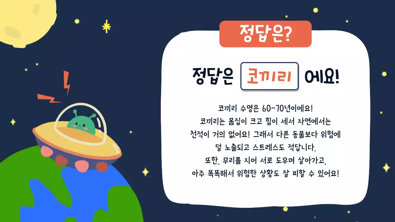 네이비 아기자기한 과학 교육