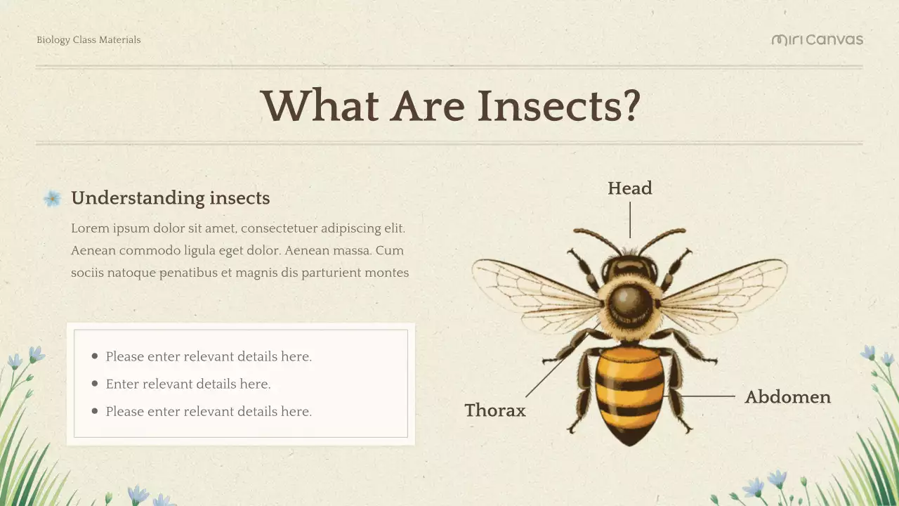 Green Botanical Biology Presentation