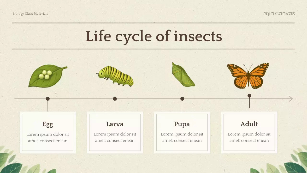 Green Botanical Biology Presentation