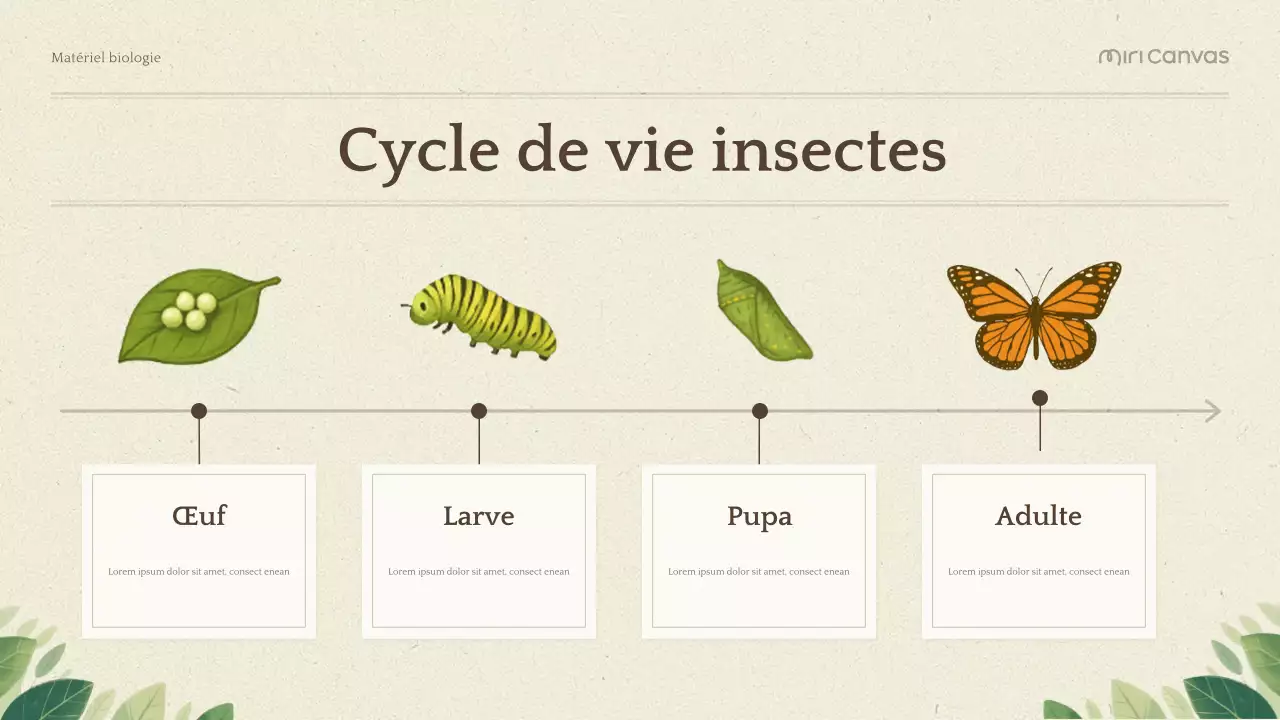 Présentation de la biologie botanique verte