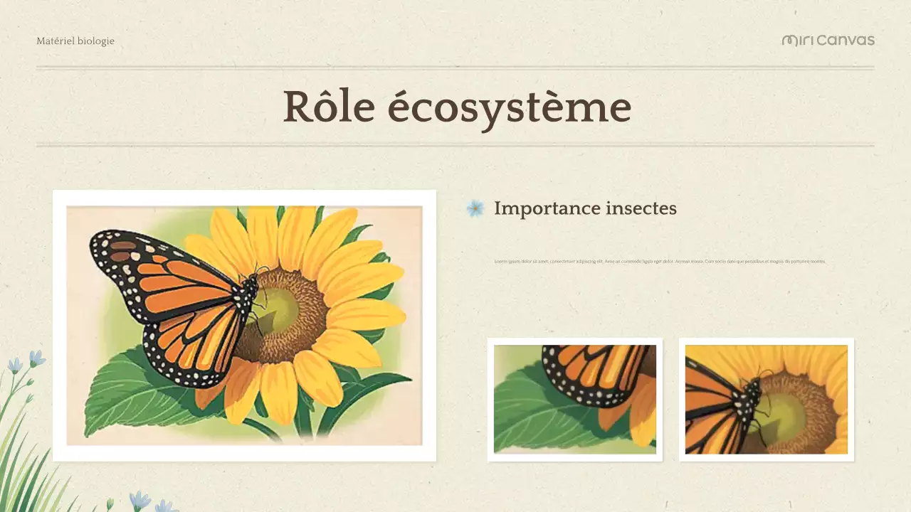 Présentation de la biologie botanique verte