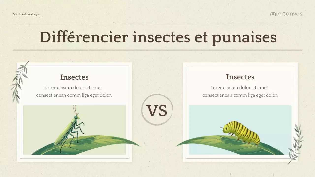Présentation de la biologie botanique verte