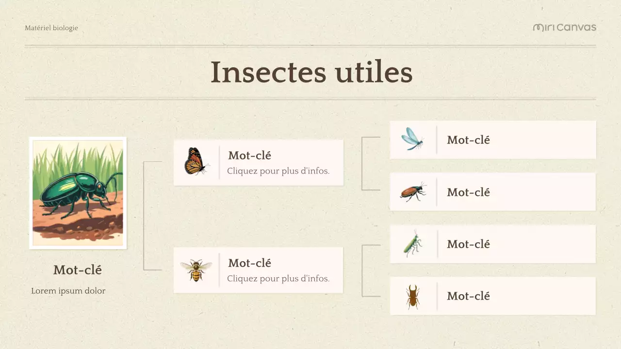 Présentation de la biologie botanique verte