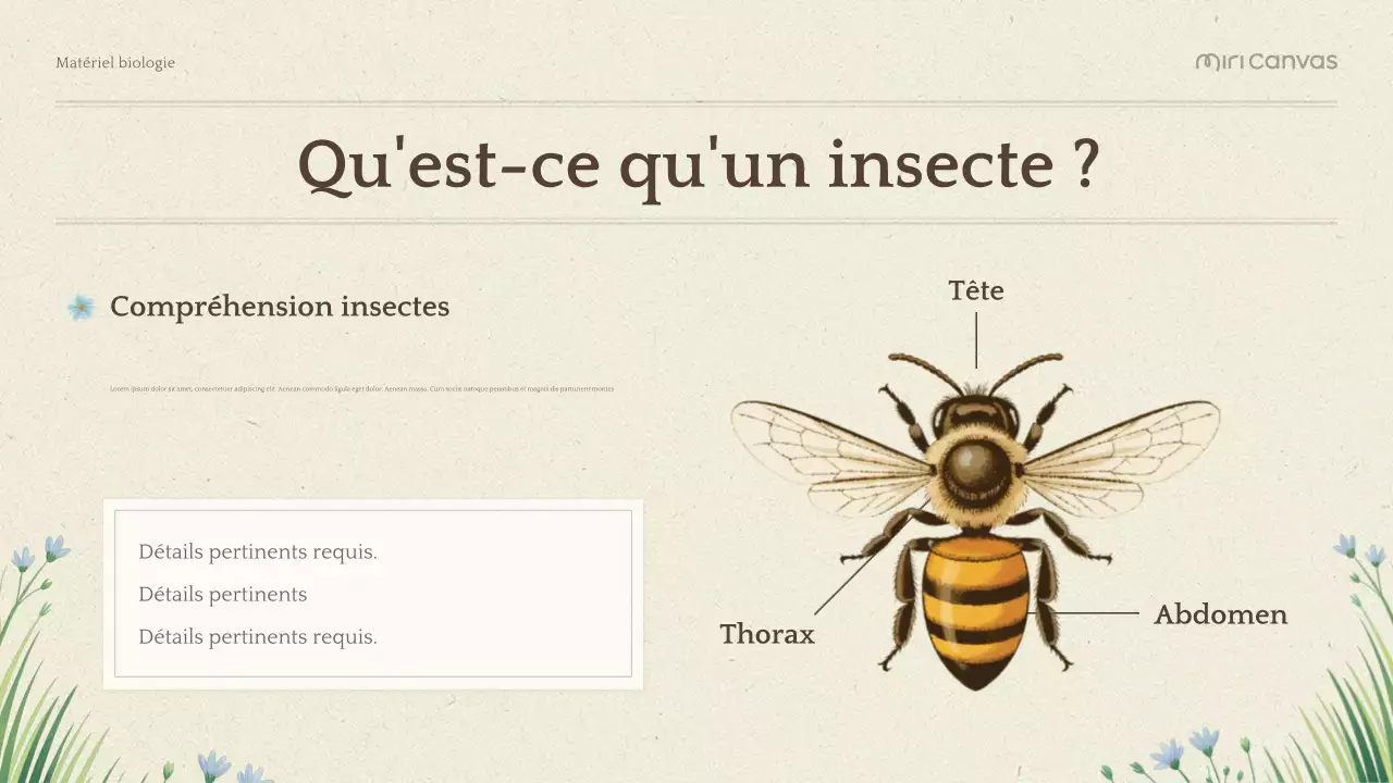 Présentation de la biologie botanique verte