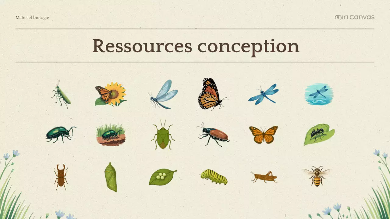 Présentation de la biologie botanique verte