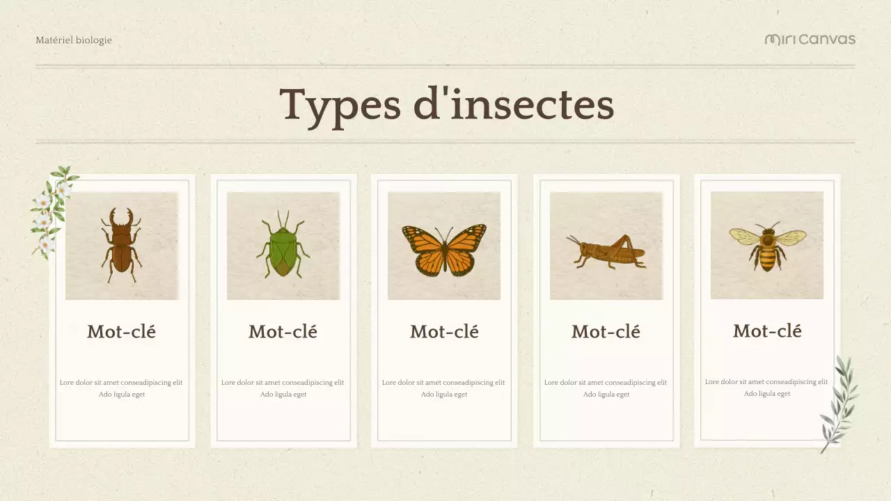 Présentation de la biologie botanique verte