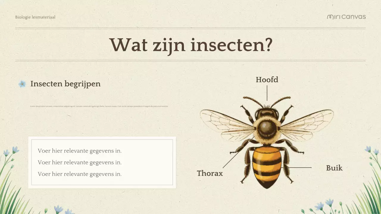 Presentatie Groene Botanische Biologie