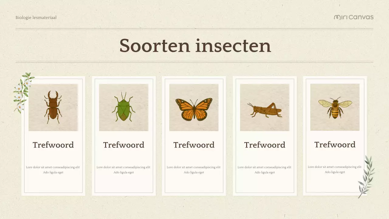 Presentatie Groene Botanische Biologie