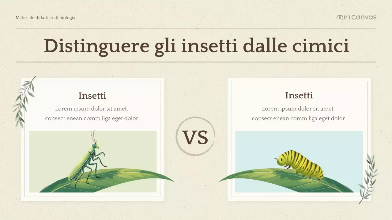 Presentazione di Biologia Botanica Verde