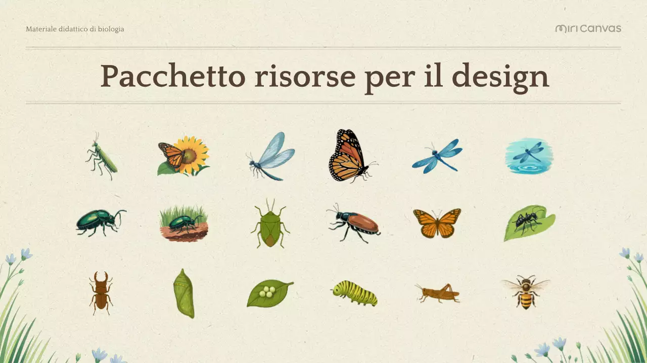 Presentazione di Biologia Botanica Verde