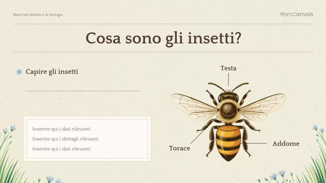 Presentazione di Biologia Botanica Verde