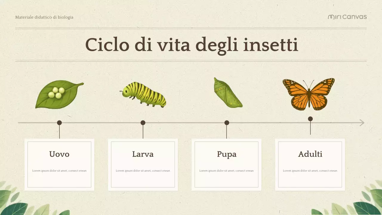 Presentazione di Biologia Botanica Verde