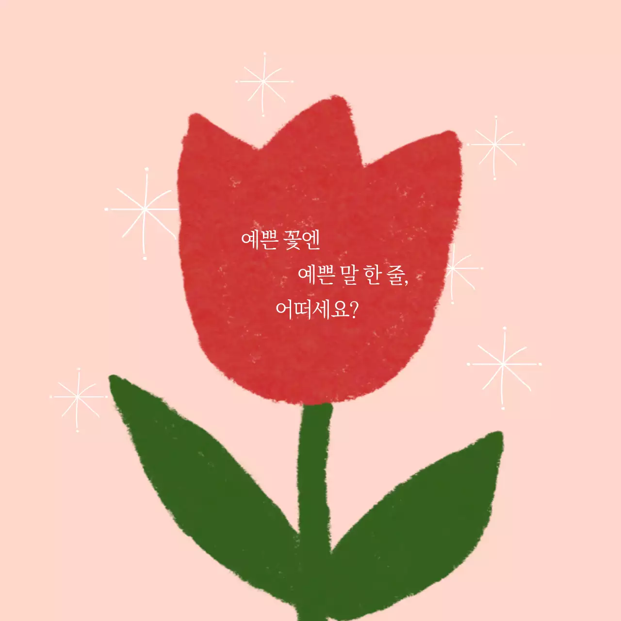 빨강 심플 꽃 엽서