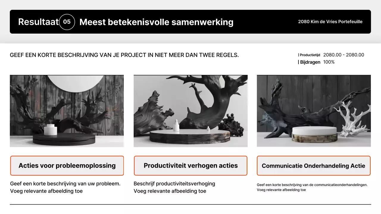 Introductie van de Black Minimal Portfolio