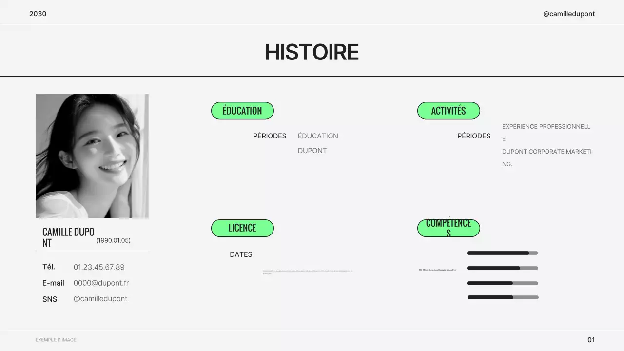 Portefeuille simple de marketeur gris