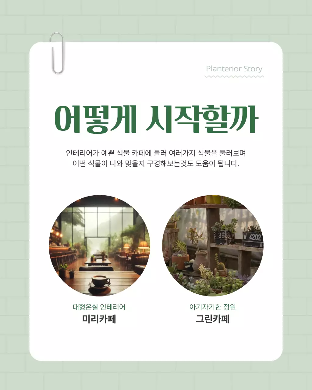 초록색과 흰색의 아기자기한 플랜테리어 홍보