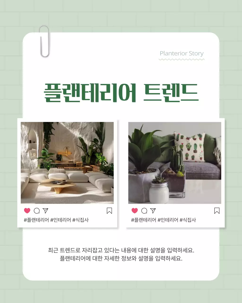 초록색과 흰색의 아기자기한 플랜테리어 홍보