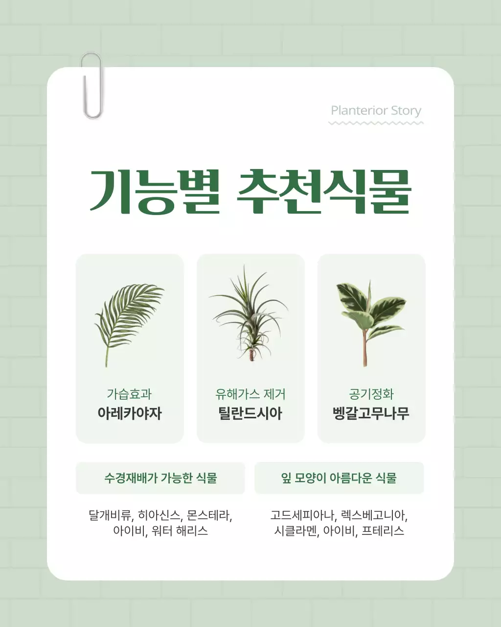 초록색과 흰색의 아기자기한 플랜테리어 홍보
