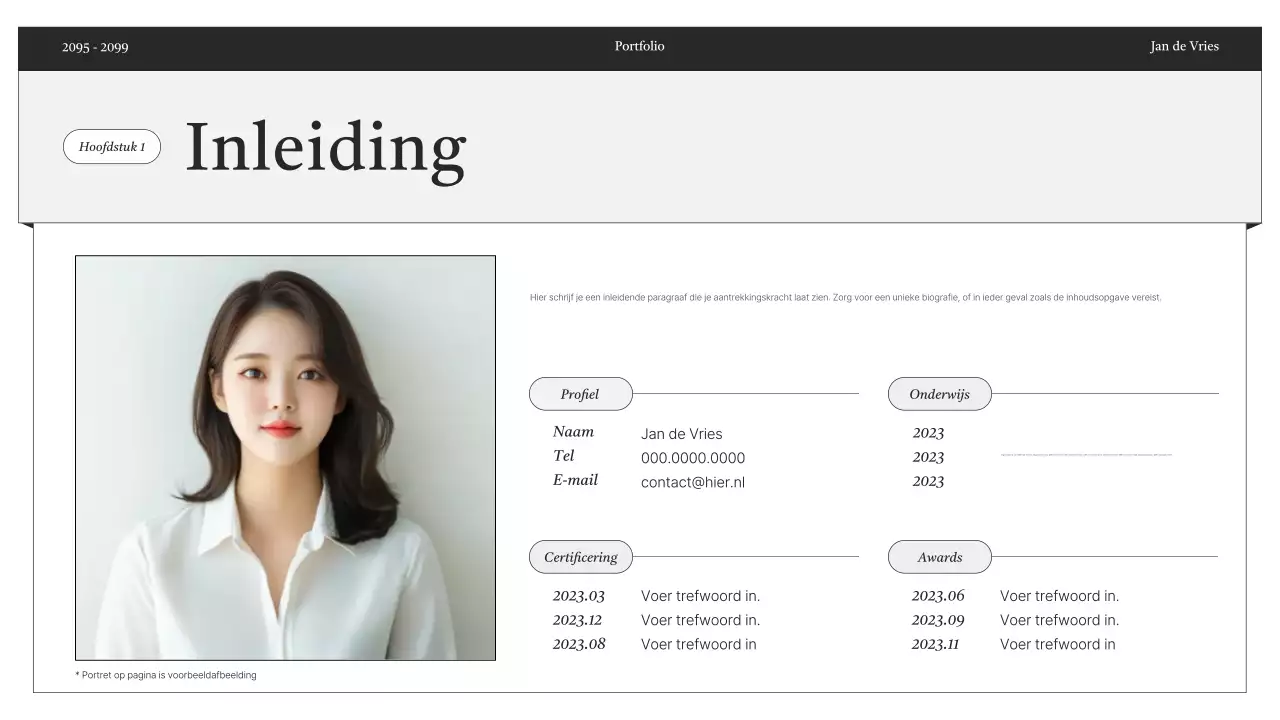 Zwart-wit minimale portfolio-informatielevering