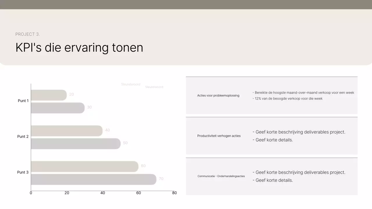 Introductie van Beige Clean Portfolio