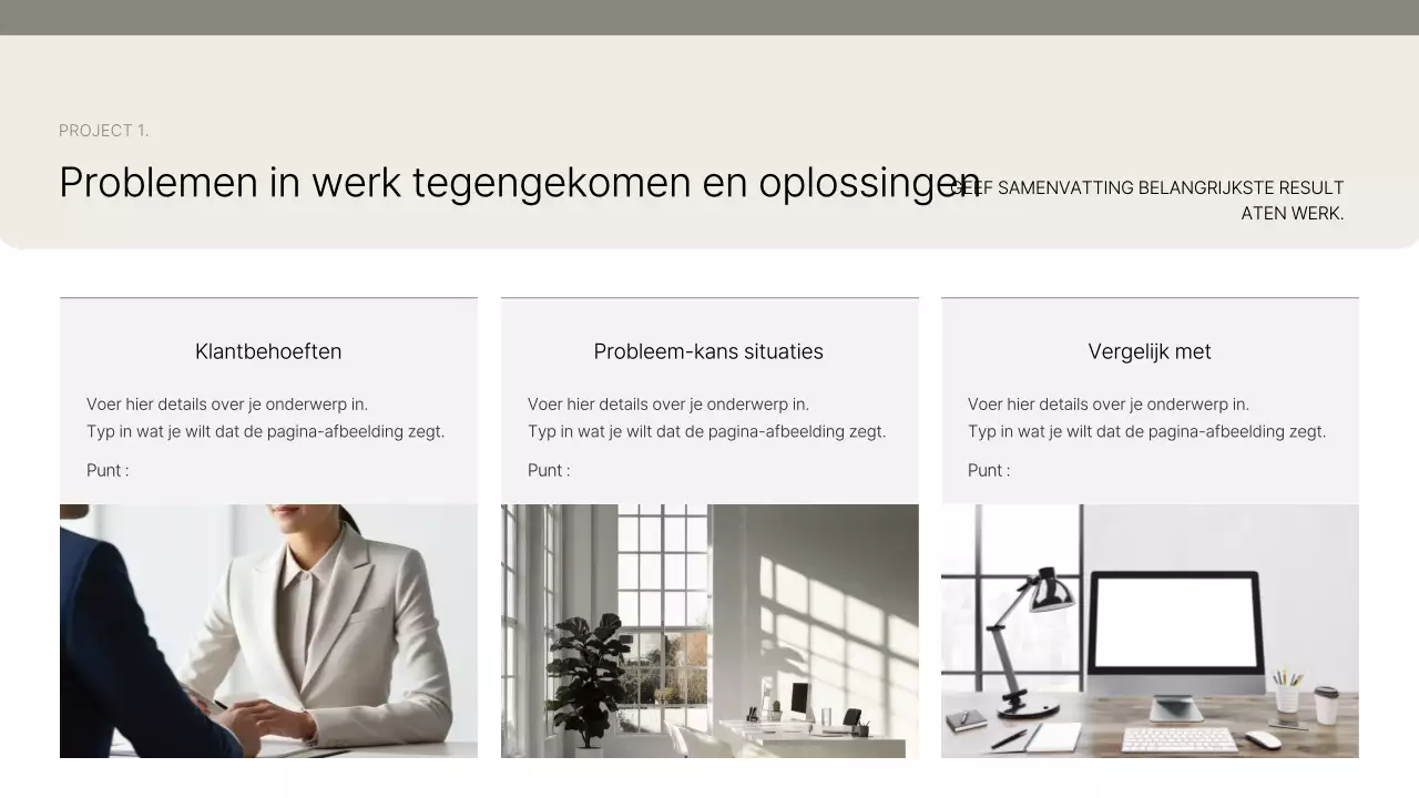 Introductie van Beige Clean Portfolio
