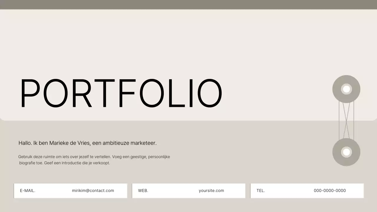 Introductie van Beige Clean Portfolio