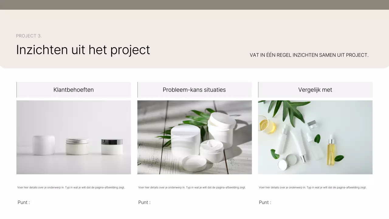 Introductie van Beige Clean Portfolio