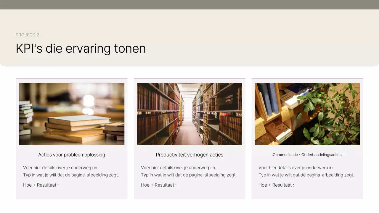 Introductie van Beige Clean Portfolio