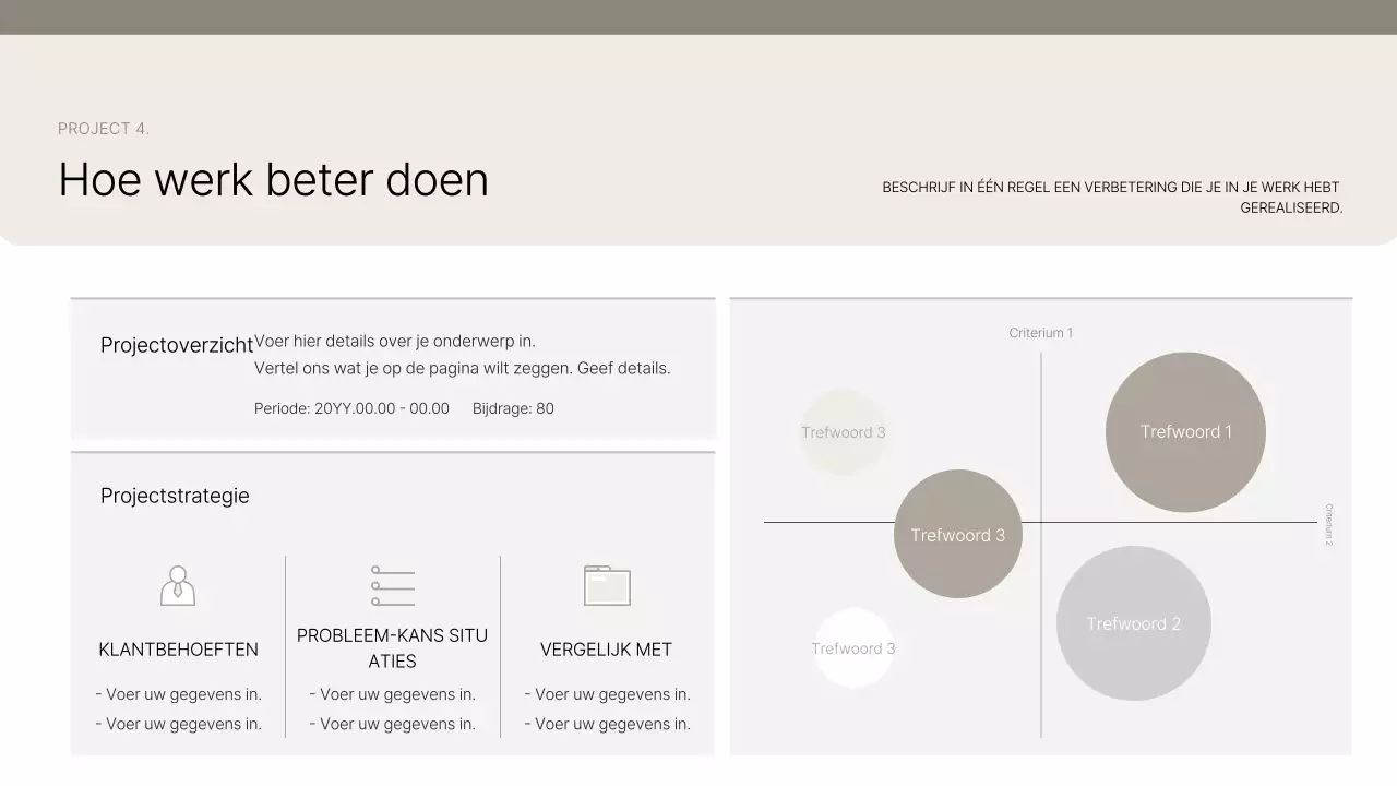 Introductie van Beige Clean Portfolio