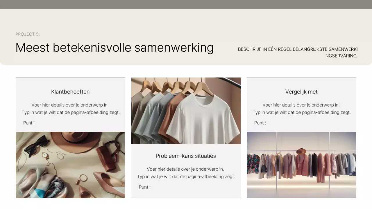 Introductie van Beige Clean Portfolio