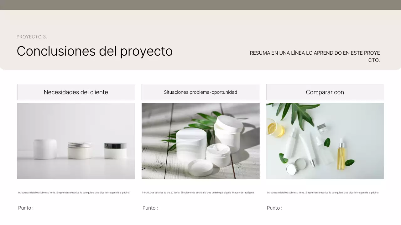 Presentamos Beige Clean Portfolio