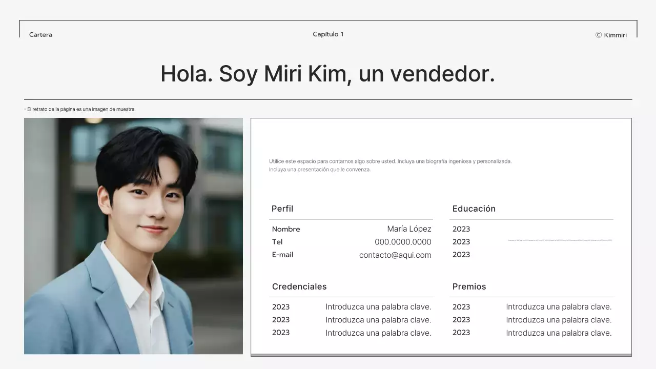 Papelería de portafolios moderna gris