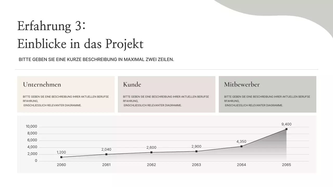 Beige Minimal Portfolio Informationen