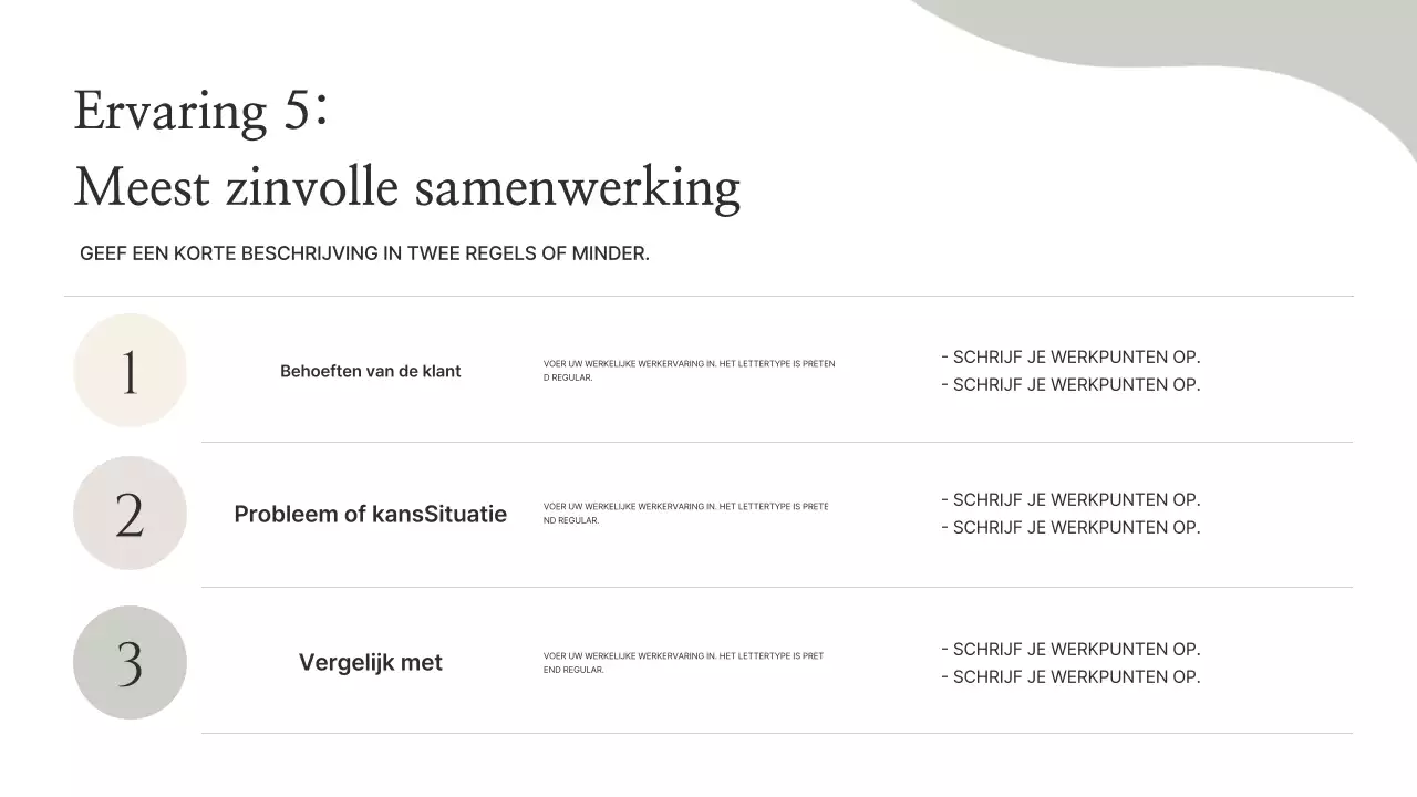 Beige Minimal Portfolio-informatie