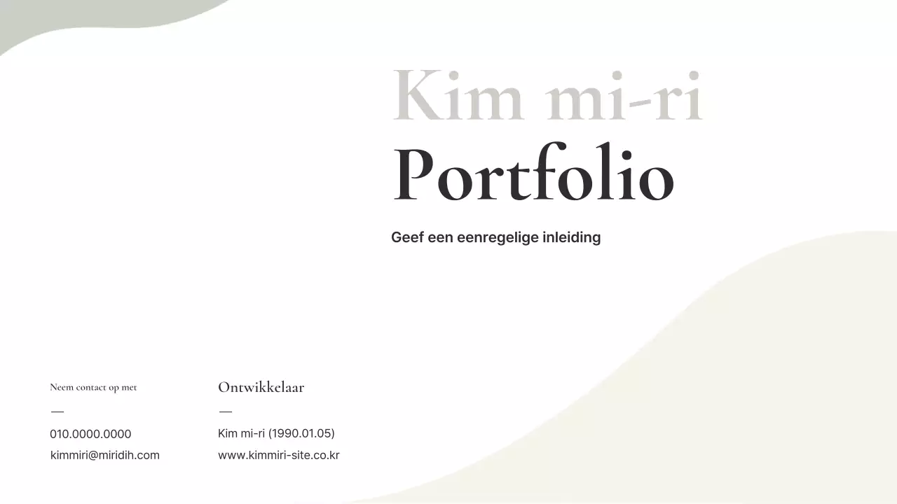 Beige Minimal Portfolio-informatie