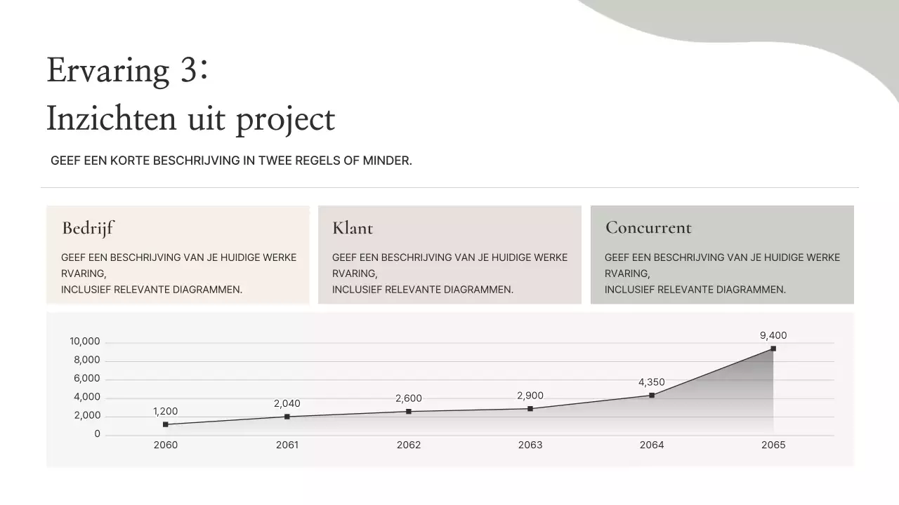 Beige Minimal Portfolio-informatie